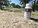 Lean: Advanced Fat Burner Metabolic Support Formula with Forslean & Carnipure 60 capsules