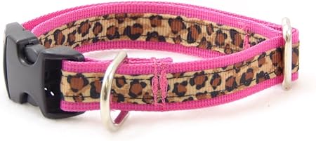 leopard dog collars and leashes