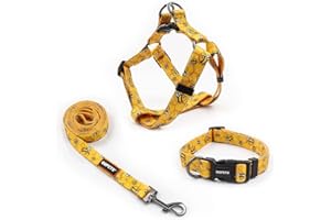 QQPETS Dog Harness Collar Leash - No Pull Pet Adjustable Back Clip Halter Basic Collar Heavy Duty 5FT Anti-Twist Leash for Extra Small Puppy Medium Large Breed Training Running (Yellow Bee, M)