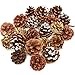 24 Pack Natural Pine Cones For Christmas Fall Thanksgiving Harvest Autumn Party Craft Accessory Decorations, 4 Winter Holiday Colors Red White Gold and Brown By Gift Boutique