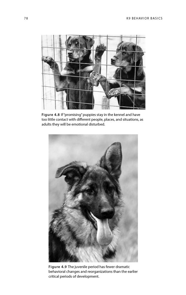 k9 behavior training