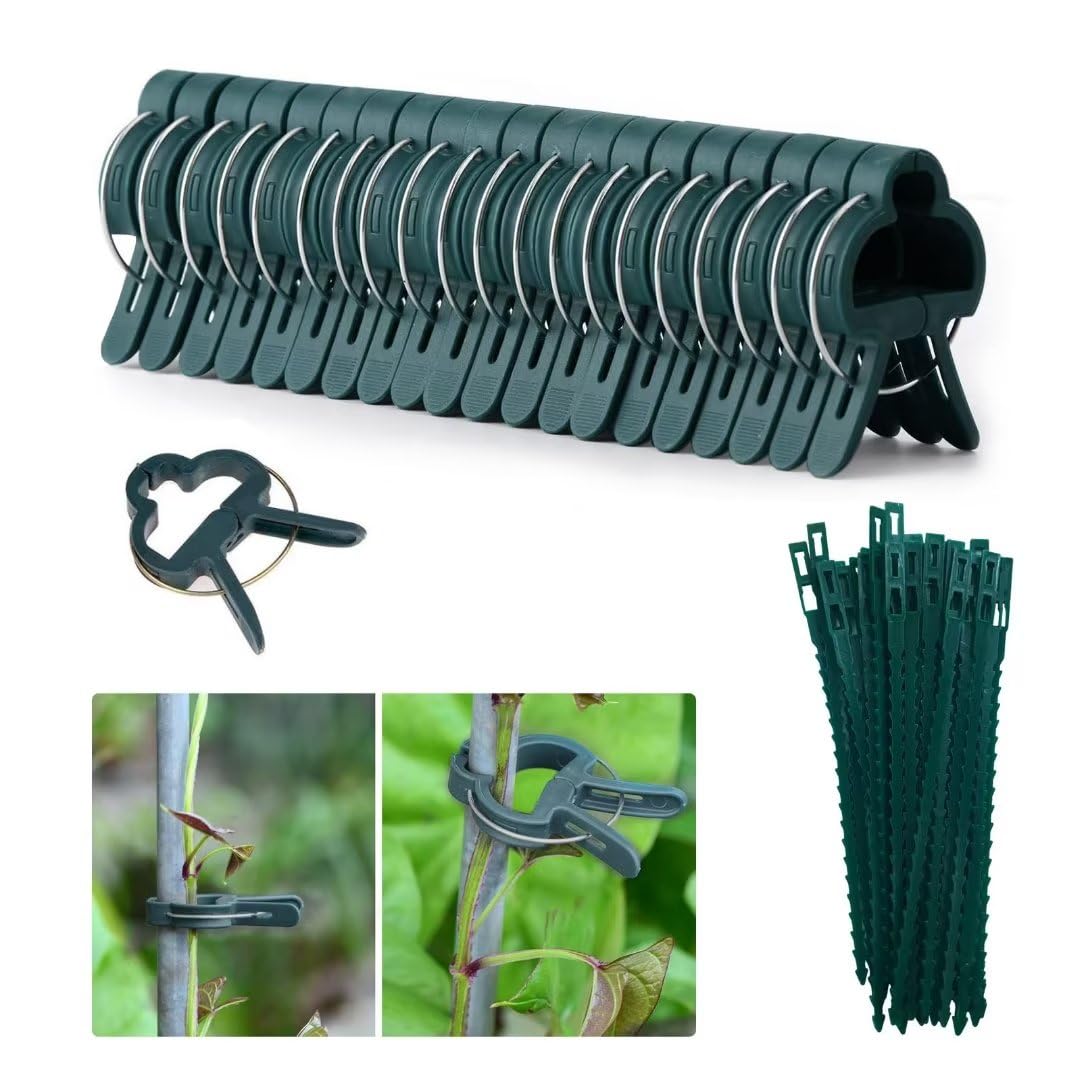 Kakveiai 60PCS Garden Plant Support large Clips, Adjustable Green Plant Ties, Plant clips set, for Supporting Grape Tomato Flower Climbing Plants Trellis Supporter Frame30 largeClips 30Ties(60 Pcs)