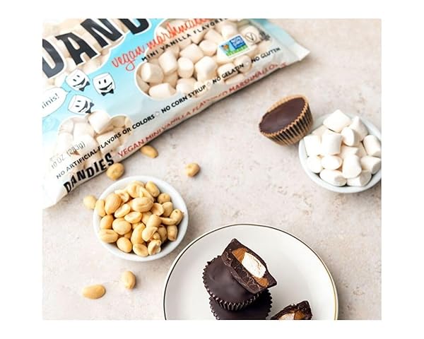 DANDIES VEGAN MINI MARSHMALLOWS, NO ARTIFICIAL FLAVORS, COLORS, CORN SYRUP, OR GELATIN, PERFECT FOR ROASTING, S’MORES, OR SNACKING (1 PACK)