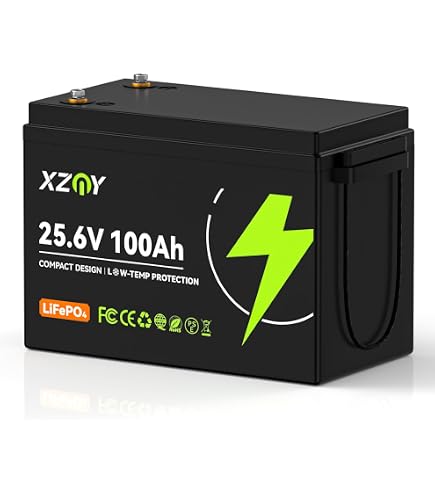 Amazon.com: XZNY Compact 24V 100Ah Lithium Battery 2 Pack, 24V