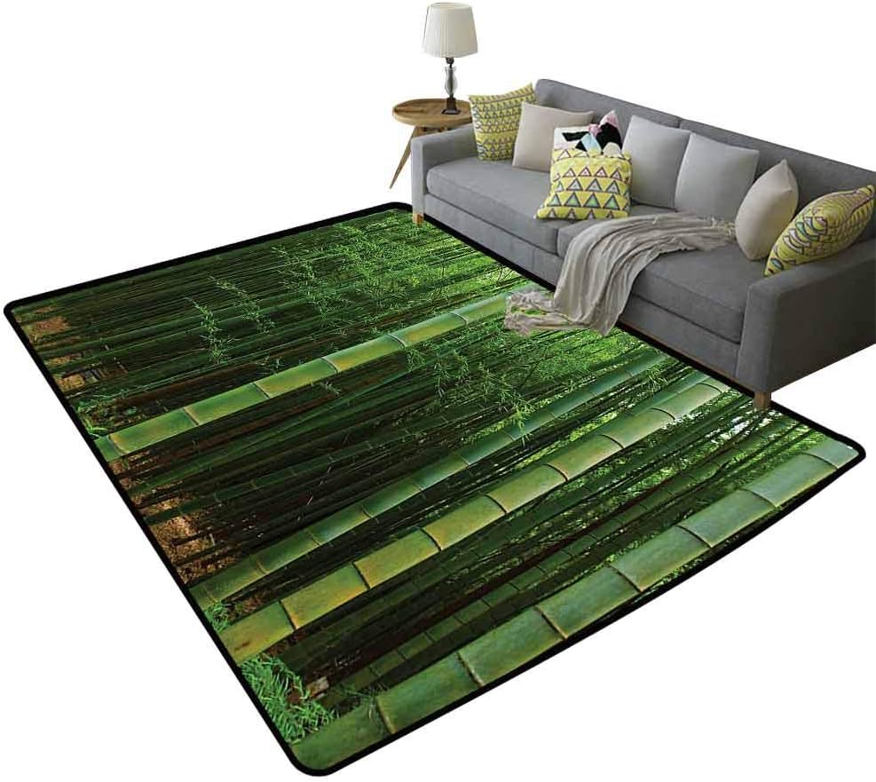 Bamboo Decor Modern Rugs, Picture of A Bamboo Forest Exotic