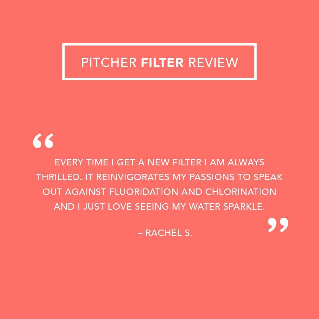 Clearly Filtered Pitcher Replacement Filter: Removes Chromium-6, Fluoride, Lead, Chlorine, Pharmaceuticals, Hormones Pesticides: Kitchen & Dining