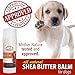 All Natural Shea Butter Balm for Dogs Treats Dry, Cracked, and Chapped Skin, Nose, and Paws. Coats, Soothes, and Heals Damaged Snouts and Pads. Mess Free and Easy to Use Application.