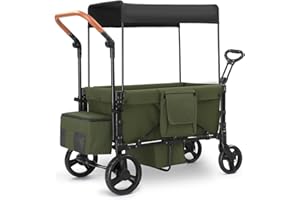 SAFETY CAREYA Wagon Stroller for 2 Kids, 3 in 1 Push and Pull Foldable Wagon with Footwell, All-Terrian Wheels, Includes Adjustable Canopy, Ample Organizer, 5 Point Harness