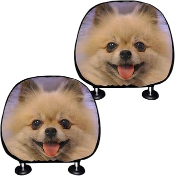 puppies for sale near me under 100