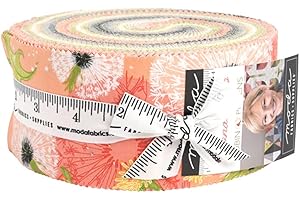Robin Pickens Dandi Duo Jelly Roll 40 2.5-inch Strips Moda Fabrics 48750JR