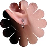 Sttiafay Boho Crystal Snake Earrings Silver Snake Stud Earrings Punk Small Serpent Earrings Minimalist Snake Animal Earrings Jewelry for Women