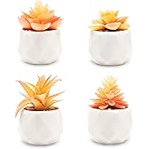 VIVERIE Mini Orange Artificial Succulent in Pots (White Ceramic, 4 Pot Set) Fake Plants for Indoors, Office Home Halloween/Christmas Decor Gifts-Faux Plant Gifts for Women