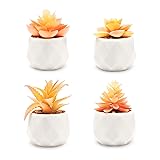 VIVERIE Mini Orange Artificial Succulent in Pots