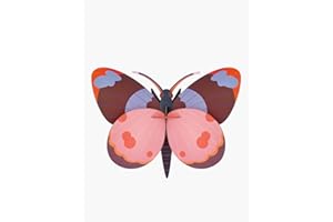 Studio ROOF, Wall Art Butterfly, Bellissima Butterfly, Eco-Friendly & Creative Gift