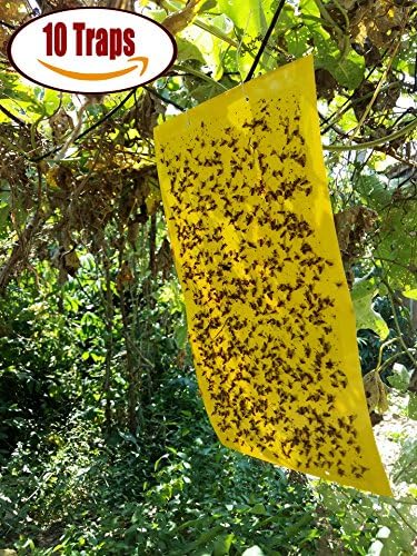 ALLMILL 10-Pack Dual-Sided Yellow Sticky Traps for Flying Plant Insect Like Fungus Gnats, Aphids, Whiteflies, Leafminers,Leaf Miners - (10x7 Inches, Twist Ties Included)