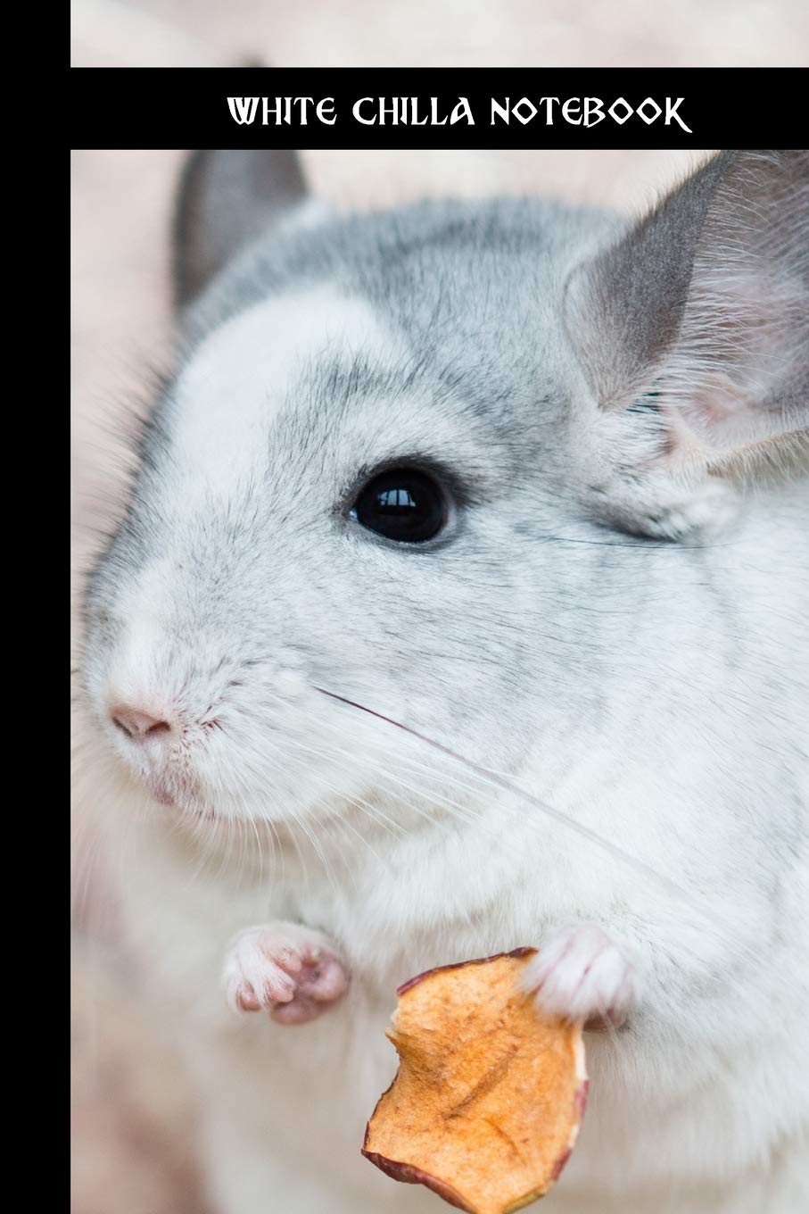 tiny chinchilla