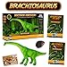 Discover with Dr. Cool Brachiosaurus Action Figure with Real Dinosaur Bone Fossil