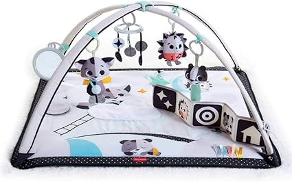 Tapis D Eveil Gymini Avec Arches Black Et White Tiny Love Amazon Fr Bebes Puericulture Tapis D Eveil Gymini Avec Arches Black Et White Tiny Love Amazon Fr Bebes Puericulture