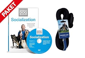 Hundeflüsterer Cesar Millan Leine Hundehalsband Illusion Collar Schwarz gewebte weiche Baumwolle inkl. Socialization DVD Hund