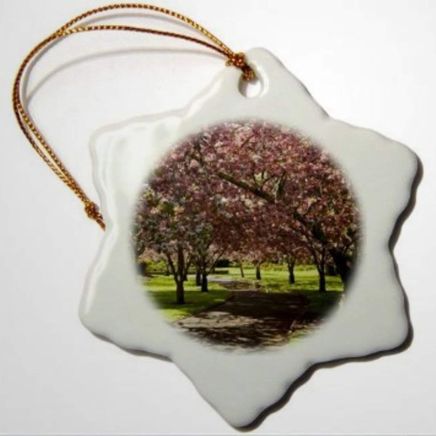 BYRON HOYLE Spring Spring Ashburton Domain Mid Canterbury New Zealand AU Wall Ornaments Snowflake Ornament Pandemic Xmas Decor Wedding Ornament Holiday Present