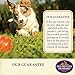 Old Mother Hubbard Classic Crunchy Natural Dog Treats, Extra Tasty Assortment Mini Biscuits, 5-Ounce Bag