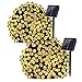 Lumitify 2 Pack Solar Christmas String Lights, 72ft 200 LED Fairy Solar Lights Decorative String Lights for Christmas, Home, Lawn, Patio, Garden, Wedding, Party and Holiday Decorations(Warm White)
