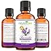 Lavender Essential Oil- 100% Pure Therapeutic Grade by Nature's Own Essence -2oz