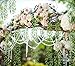 DearHouse 12Pcs Artificial Vines Fake Greenery Garland with Total 60 Stems Hanging for Wedding Garden Party Wall Home Decoration