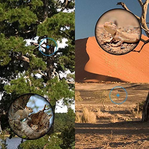 CELINELLE Monocular Telescope 12x50 High Power Waterproof Monocular with Scope Phone Mount & Tripod Monocular Compact Scope BAK4 Prism FMC Monoculars Adults Hunting Birdwatching Camping Travelling