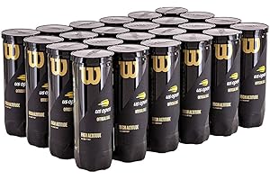 Wilson US Open High Altitude Tennis Ball Case