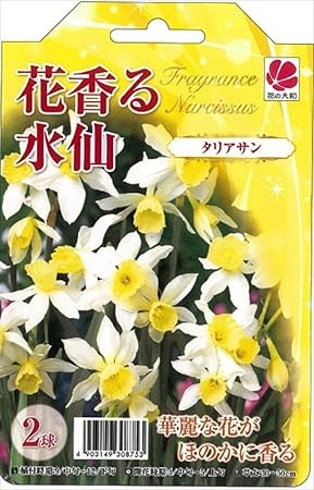 Amazon Co Jp 予約販売 花の大和 球根 水仙 花香る水仙 タリアサン 2球 ホーム キッチン
