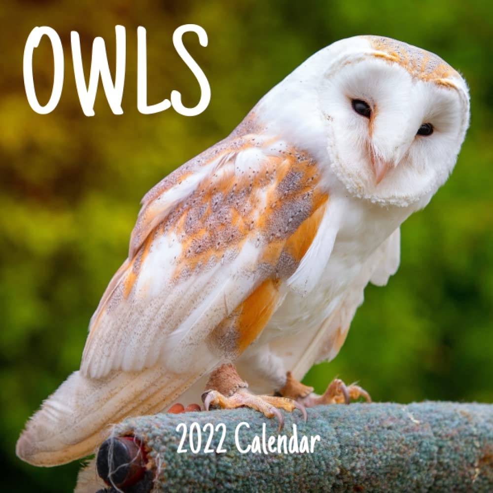 Owl Calendar 2023 Owls 2022 Calendar: Owls 2022-2023 Calendar, 18 Months.: 2022-2023, Cute  Calendar: 9798759836018: Amazon.com: Books