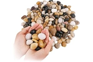WHANLEY L&Q Natural River Rocks 1-2 Inch Ornamental Polished Pebbles Pebbles for Indoor Plants Small Rocks Decorative Rocks for Potted Plants Aquarium Gravel River Rocks for Plants,Aquarium,Fish Tank,Vases 1 LB