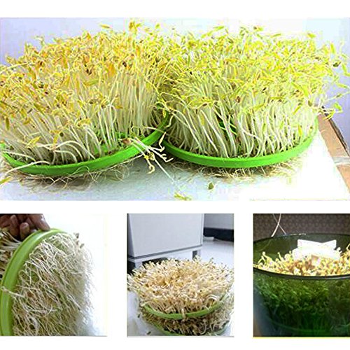 Bean Sprouts Machine,LED Display 110V Automatic Intelligence Electronical Seed Sprouts Maker Food Grad PP Material 2 Layers Large Capacity Power-Off Memory Function Sprouter
