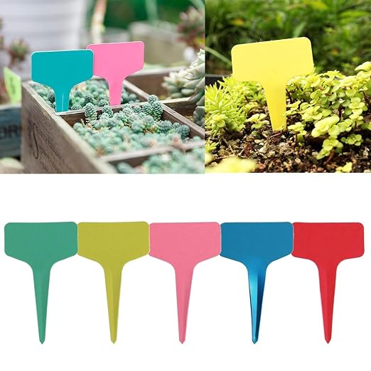 qianzhi 100Pcs Etiquetas De Plantas De Plástico Reutilizables ...
