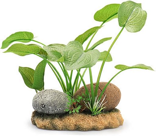 amazon uk aquarium accessories