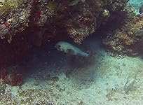 Review Image by Ashley Bradshaw Ashley Bradshaw