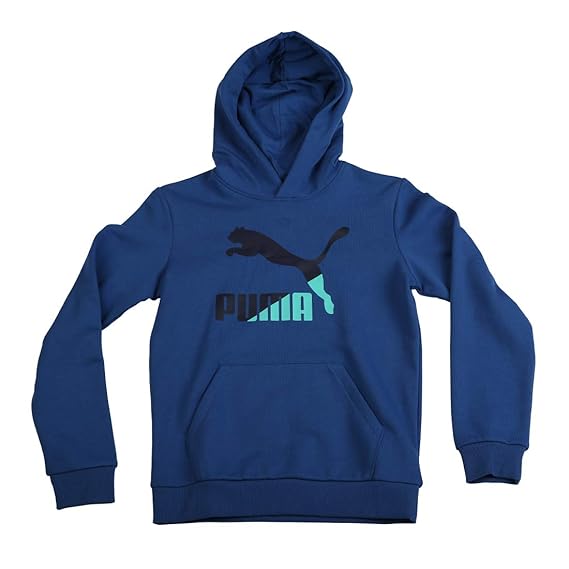baby blue puma hoodie