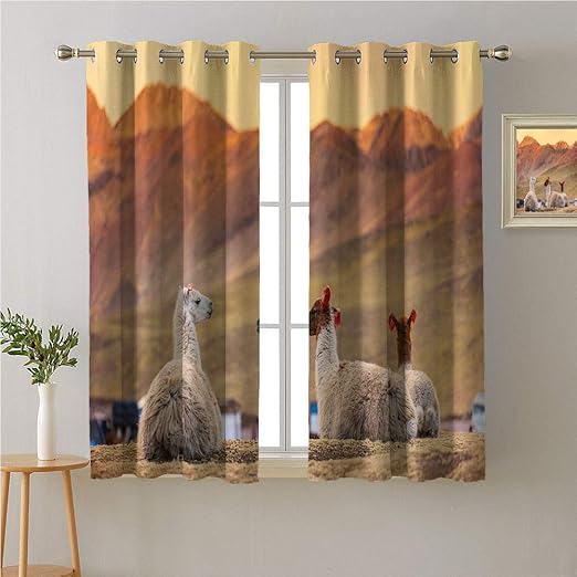 Amazon Com Mozenou Argentina Grommet Darkening Blackout Chilling