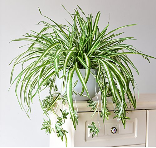 Fogliame Artificiale Per Interni Ed Esterni – Pianta Finta Decorativa 30-33 Cm, Resistente, Senza Manutenzione