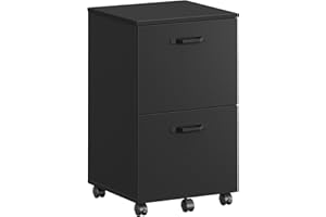 VASAGLE 2-Drawer File Cabinet, Filing Cabinet for Home Office, Small Rolling Printer Stand, A4, Letter-Size Hanging Files, As