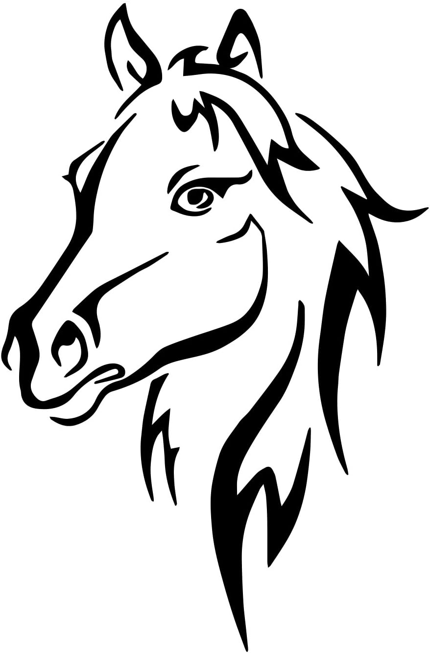 7 Mejores Camiones De Caballos Para Yeguada : Octubre 2020