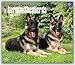 German Shepherds, For the Love of 2017 Deluxe
