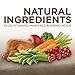 Hill'S Ideal Balance Senior Natural Dog Food, Mature Adult 7+ Chicken & Brown Rice Recipe Dry Dog Food, 4 Lb Bag