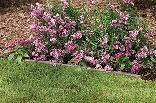 Suncast FSS36 35-Inch Resin Flagstone Interlocking Lawn Edging Strip - One Section