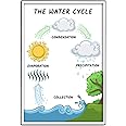 The Water Cycle - Science Classroom Decorations - 12-Inch by 18-Inch - Science Supplies for Classrooms - for High School, Middle School, Elementary CPS045