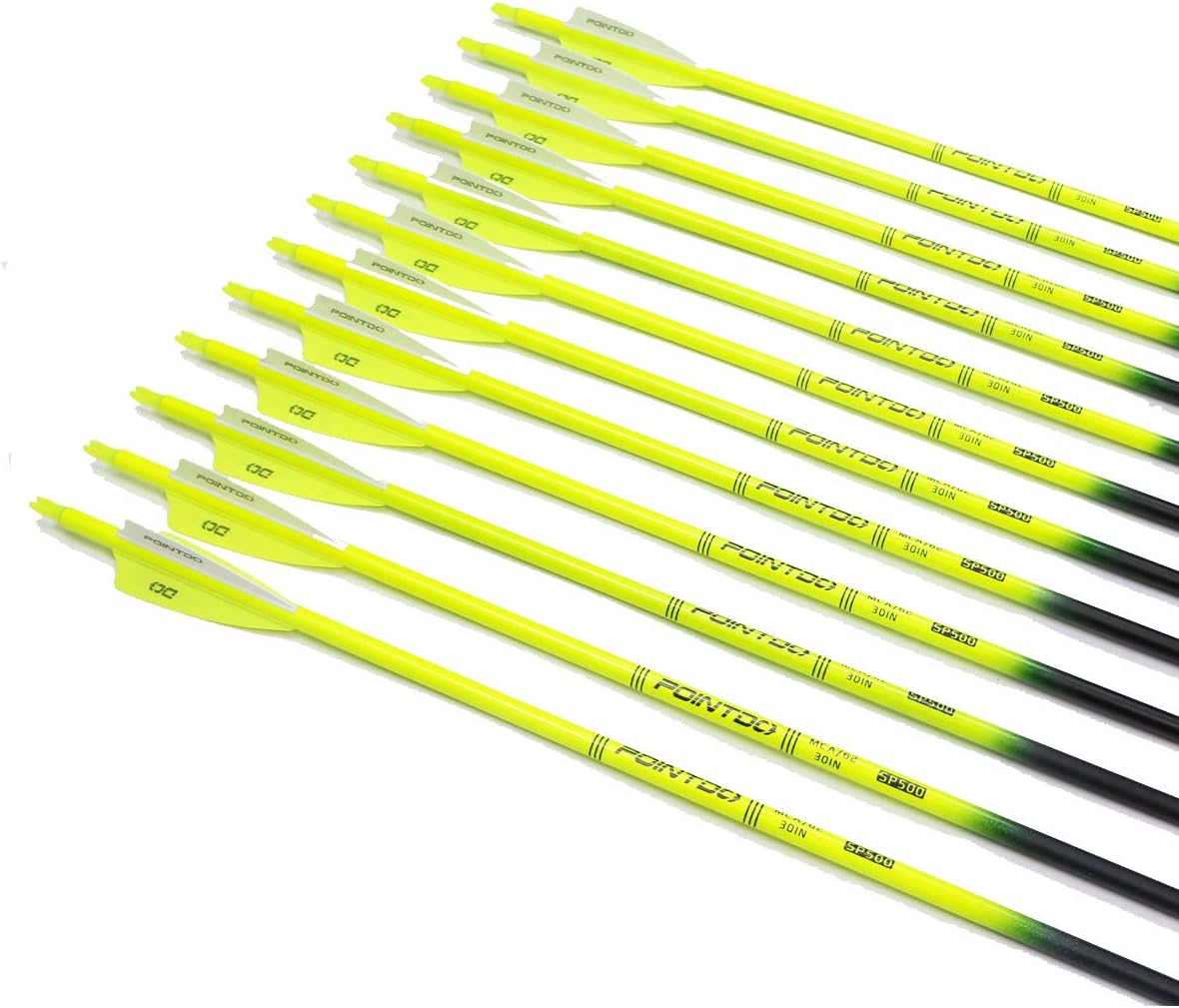 Pointdo 30inch Carbon Arrow Fluorescence Color Targeting and Hunting Practice Arrows for Compound Bow and Recurve Bow with Removable Tips (Fluorescein Yellow) : Sports & Outdoors