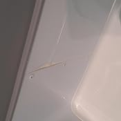 Amazon.es: DOMETIC COOLFREEZE CDF 36 - NeveraPortátil de Compresor ...