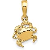 14k Yellow Gold Crab Pendant Necklace with Detailed Crustacean Design, Zodiac Cancer Charm for Women or Unisex Wear, Astrology Necklace, Nautical Animal Pendant, Ocean Symbol of Protection