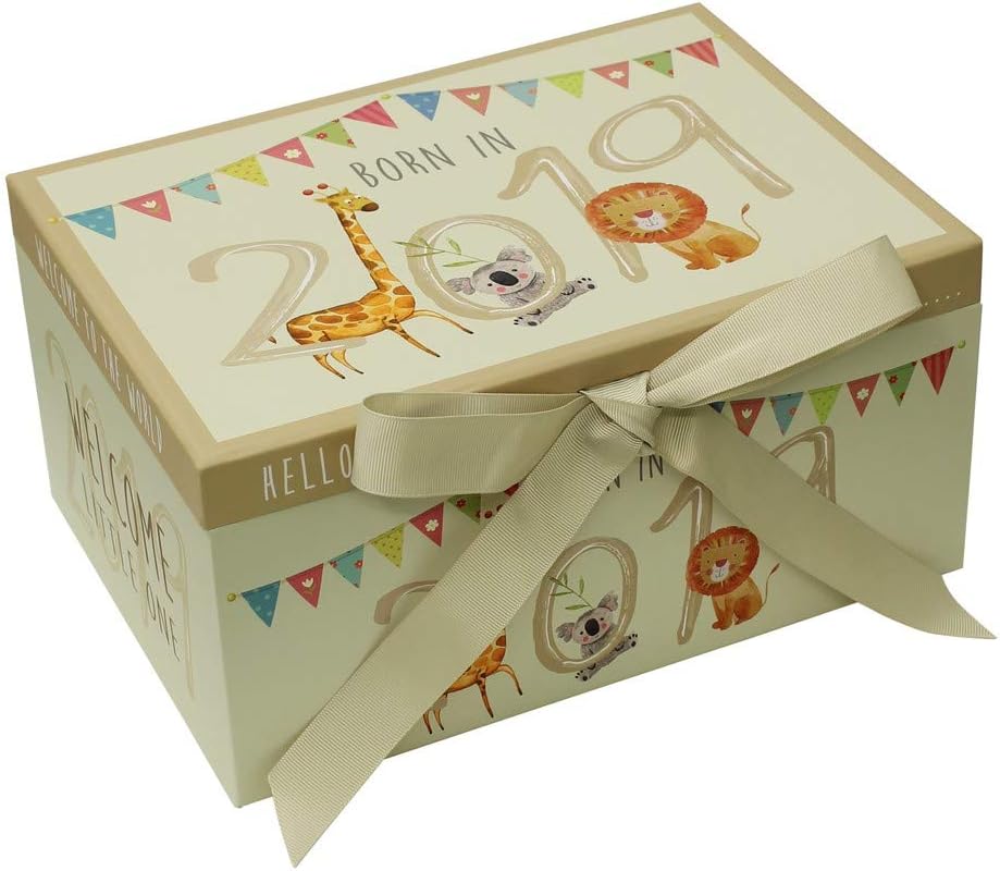 born in 2019 keepsake box